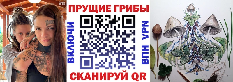 Галлюциногенные грибы ЛСД  купить закладку  Нововоронеж 